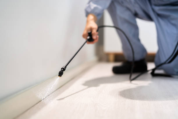 Licensed Termite Control service in Booker, TX - Nex Pest Control
