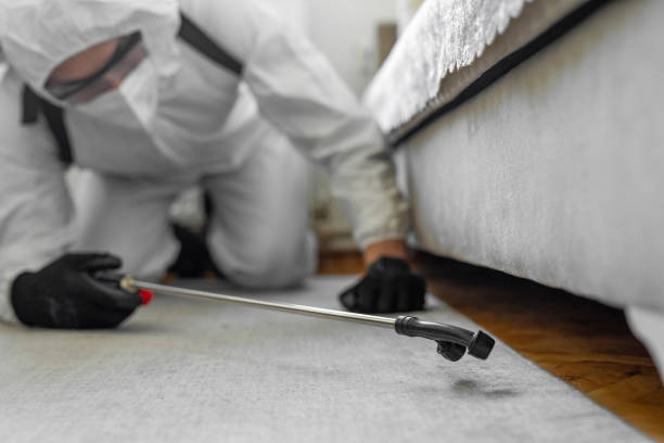 Professional Termite Control technician working in Booker, TX