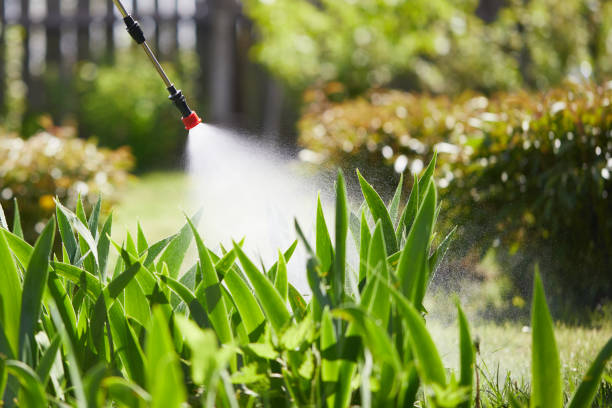 24/7 Emergency Termite Control experts in Booker, TX