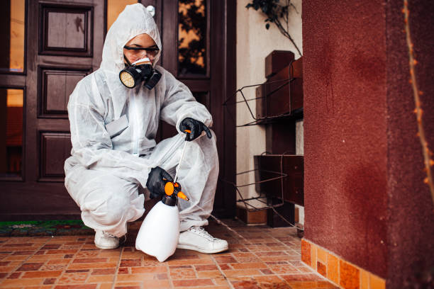 Reliable Termite Control contractor in Booker, TX by Nex Pest Control