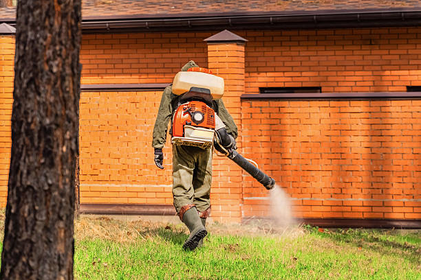 Top rated local Termite Control specialists in Booker, TX